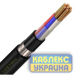 ВБбШв нг 4x2,5 - (0,66 кВ) (КУ)