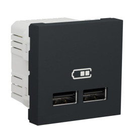Подвійна USB розетка Schneider Electric NU341854 2.1А 2М (антрацит)