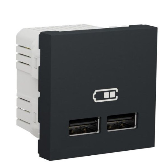 Подвійна USB розетка Schneider Electric NU341854 2.1А 2М (антрацит)