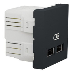 Подвійна USB розетка Schneider Electric NU341854 2.1А 2М (антрацит)