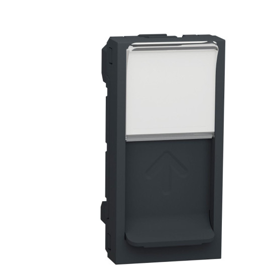 Накладка для розетки RJ45 Schneider Electric NU941054 з полем для напису 1М (антрацит)