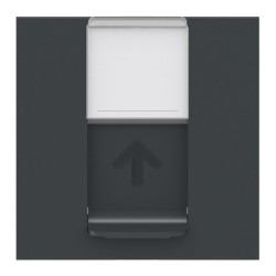 Накладка для розетки RJ45 Schneider Electric NU941154 2М (антрацит)