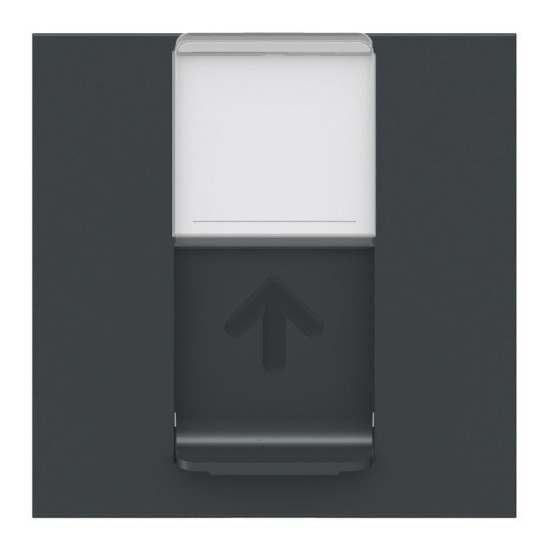 Накладка для розетки RJ45 Schneider Electric NU941154 2М (антрацит)