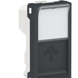 Центральна плата Schneider Electric NU946054 від розетки RJ45 Keystone/Systimax 1М (антрацит)