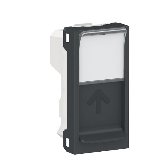 Центральна плата Schneider Electric NU946054 від розетки RJ45 Keystone/Systimax 1М (антрацит)
