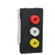 Аудіорозетка 3 RCA Schneider Electric NU343154 1М (антрацит)