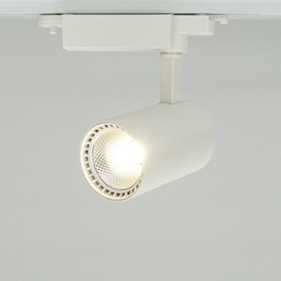 Шинний світильник Feron AL102 12Вт 2700К COB (білий)