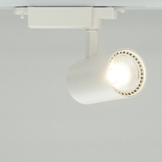 Шинний світильник Feron AL102 12Вт 2700К COB (білий)