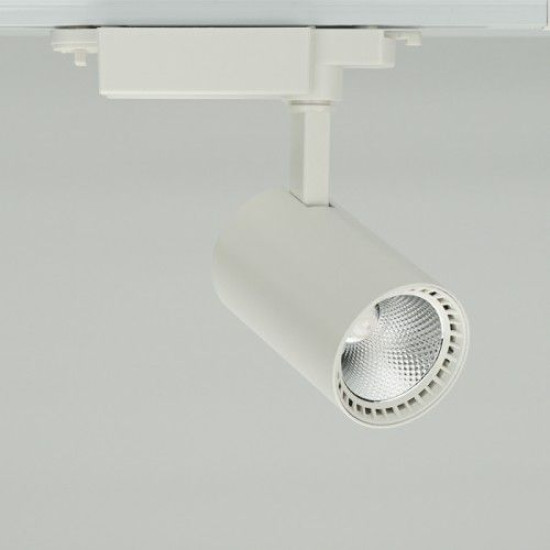 Шинний світильник Feron AL102 12Вт 2700К COB (білий)