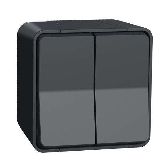 Накладний прохідний 2-клавішний перемикач Schneider Electric MUR35022 (сх.6+6) IP55 (чорний)