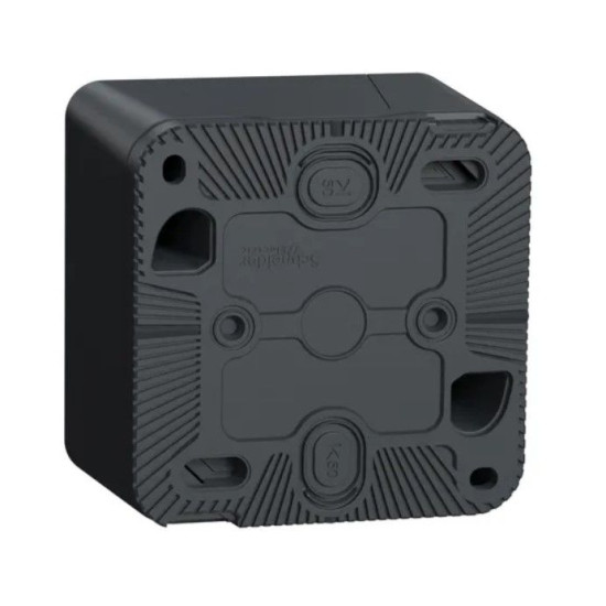 Накладний прохідний 2-клавішний перемикач Schneider Electric MUR35022 (сх.6+6) IP55 (чорний)