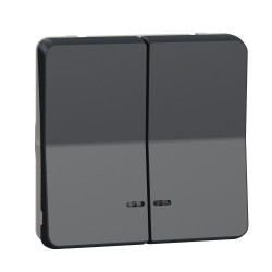 Двоклавішний кнопковий вимикач Schneider Electric MUR35228 з підсвічуванням IP55 (чорний)