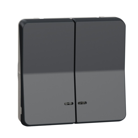Двоклавішний кнопковий вимикач Schneider Electric MUR35228 з підсвічуванням IP55 (чорний)