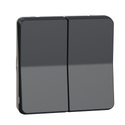 Прохідний 2-клавішний перемикач Schneider Electric MUR35019 (сх.6+6) IP55 (чорний)