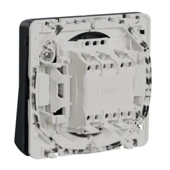 Прохідний 2-клавішний перемикач Schneider Electric MUR35019 (сх.6+6) IP55 (чорний)