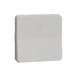 Двополюсний вимикач Schneider Electric MUR39033 IP55 (білий)