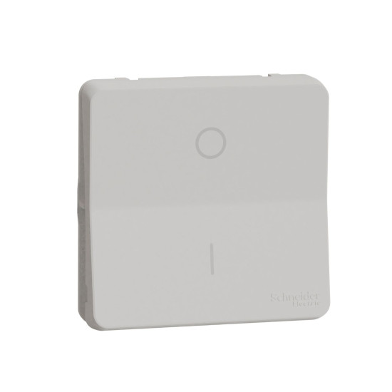 Двополюсний вимикач Schneider Electric MUR39033 IP55 (білий)