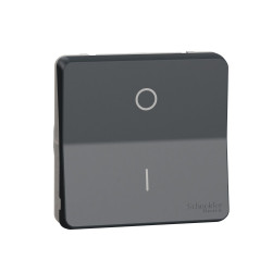 Двополюсний вимикач Schneider Electric MUR35034 IP55 (чорний)