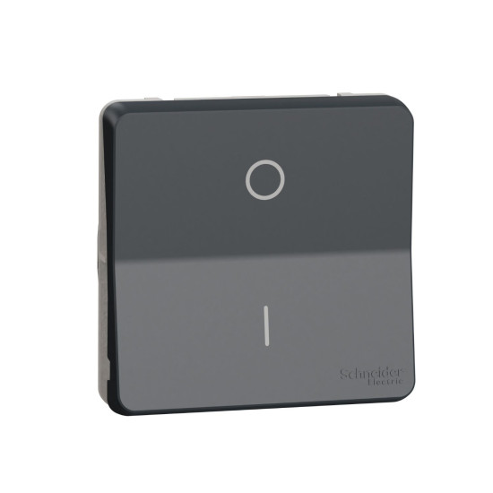 Двополюсний вимикач Schneider Electric MUR35034 IP55 (чорний)