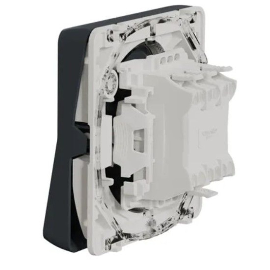 Двополюсний вимикач Schneider Electric MUR35034 IP55 (чорний)