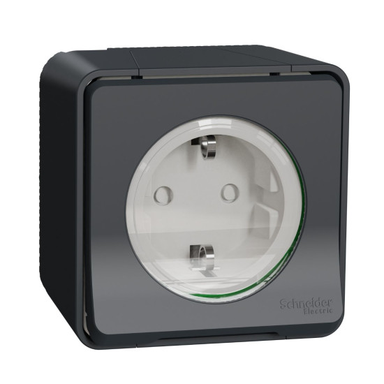 Накладна розетка Schneider Electric MUR36034 із з/к та шторками IP55 (чорний)