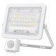 LED прожектор Videx F2e 30Вт 5000K (VL-F2e305W-S) з датчиком руху та освітленості
