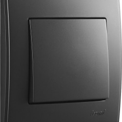 Вимикач Lezard "Lesya" 705-4242-100 (антрацит)