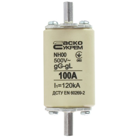 Запобіжник Аско-Укрем NH00 100A gG (A0050010015)