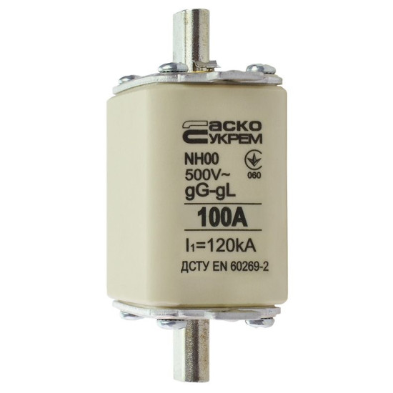 Запобіжник Аско-Укрем NH00 100A gG (A0050010015)