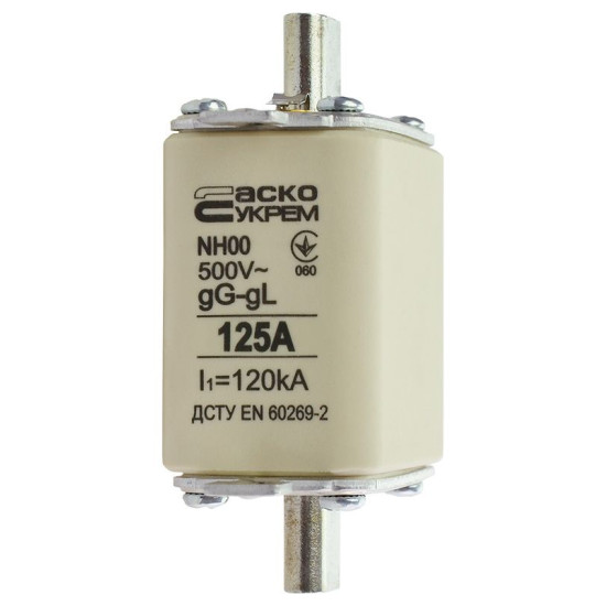 Запобіжник Аско-Укрем NH00 125A gG (A0050010016)