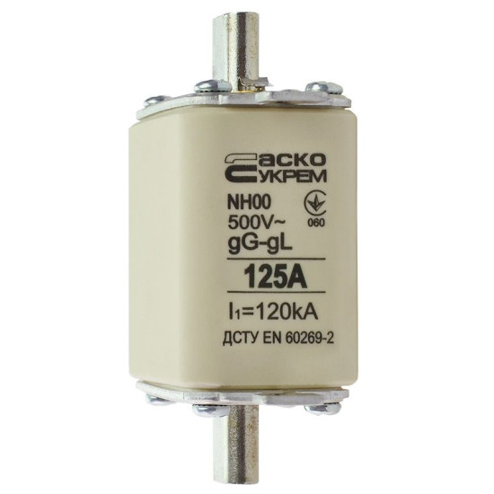 Запобіжник Аско-Укрем NH00 125A gG (A0050010016)