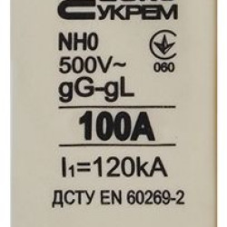 Запобіжник Аско-Укрем NH0 100A gG (A0050010024)