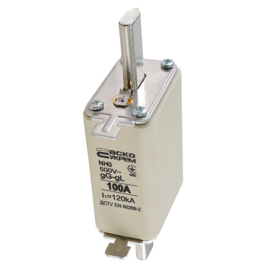 Запобіжник Аско-Укрем NH0 100A gG (A0050010024)