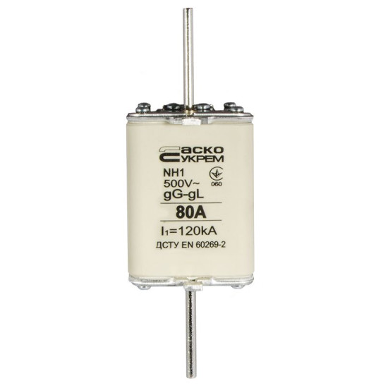 Запобіжник Аско-Укрем NH1 80A gG (A0050010027)