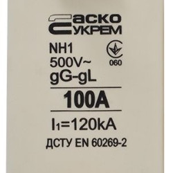 Запобіжник Аско-Укрем NH1 100A gG (A0050010028)