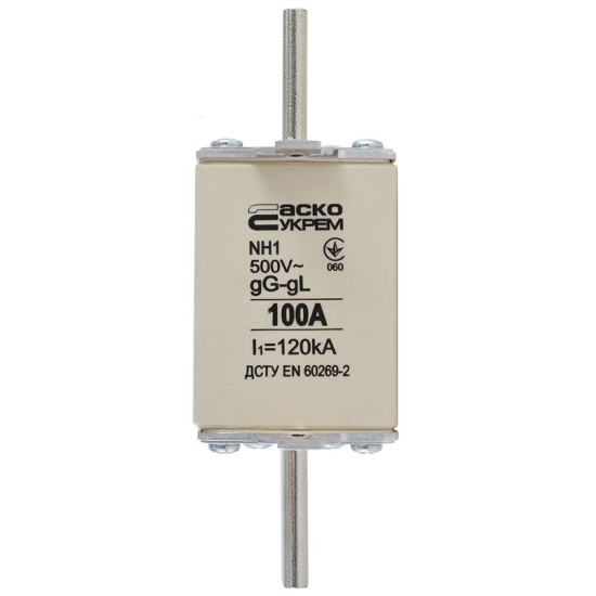 Запобіжник Аско-Укрем NH1 100A gG (A0050010028)