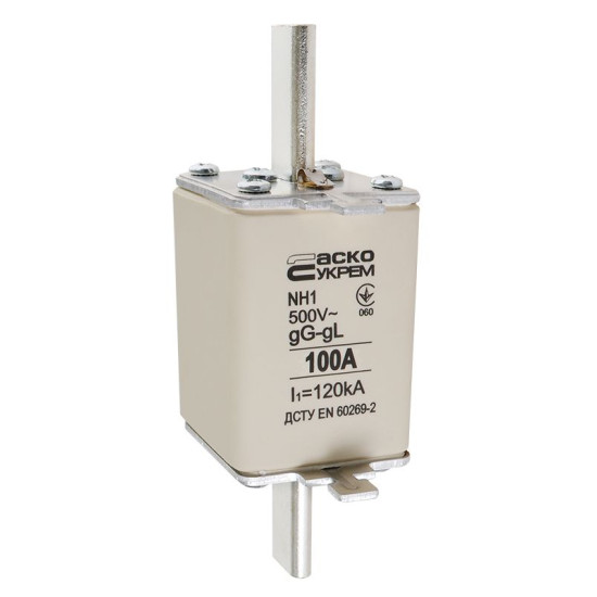 Запобіжник Аско-Укрем NH1 100A gG (A0050010028)