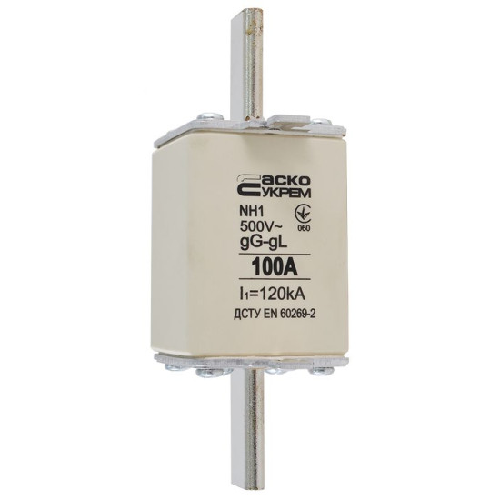 Запобіжник Аско-Укрем NH1 100A gG (A0050010028)