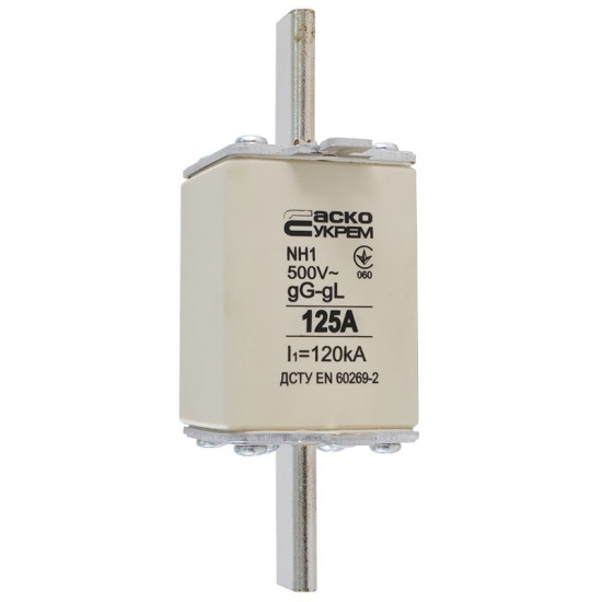 Запобіжник Аско-Укрем NH1 125A gG (A0050010029)