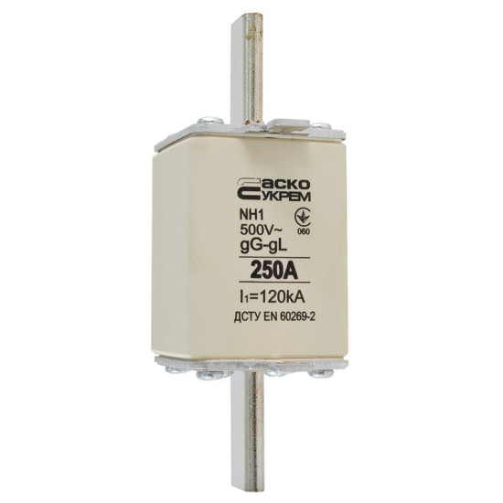 Запобіжник Аско-Укрем NH1 250A gG (A0050010032)