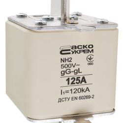 Запобіжник Аско-Укрем NH2 125A gG (A0050010033)