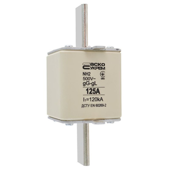 Запобіжник Аско-Укрем NH2 125A gG (A0050010033)