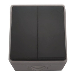 Вимикач 2-клавішний TNSy SURFACE IP54 сірий (TNSy5000168)