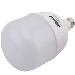 Світлодіодна лампа TNSy LED Bulb-T100-30W-E27-220V-4000K-2700L ICCD (TNSy5000259)