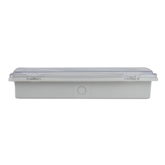 Евакуаційний світильник TNSy UJ02-50LED-4W-6500K-3H-400L-IP65 (TNSy5000560)