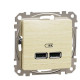 USB розетка Schneider Electric Sedna Design & Elements A+A 2,1A береза SDD180401