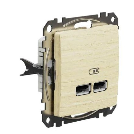USB розетка Schneider Electric Sedna Design & Elements A+A 2,1A береза SDD180401