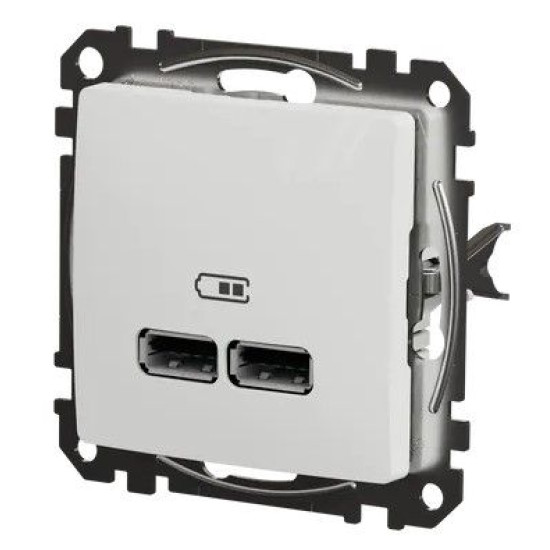 USB розетка Schneider Electric Sedna Design & Elements A+A 2,1A біла SDD111401