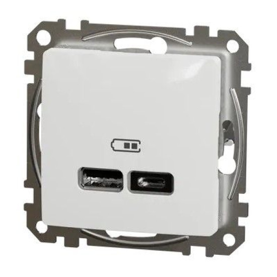USB-розетка Schneider Electric Sedna Design & Elements A+C 2,4A біла SDD111402