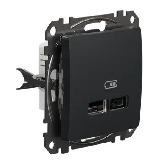 USB-розетка Schneider Electric Sedna Design & Elements A+C 2,4A чорна SDD114402